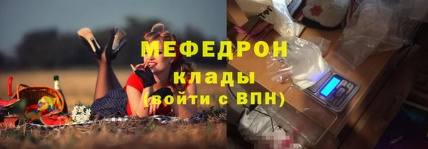 индика Приозерск
