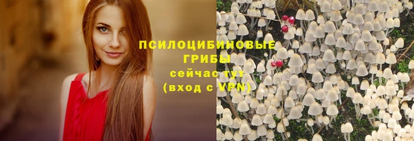 амф Балахна