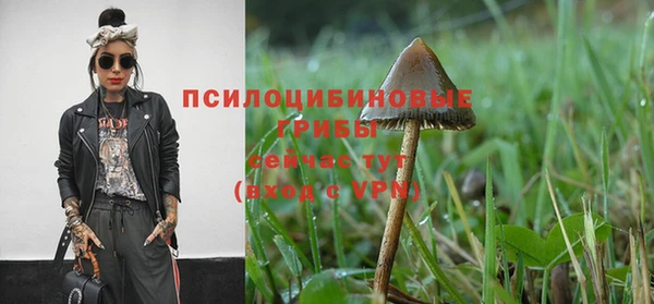 молекула духа Арсеньев